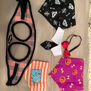Small dog photo neck, scarves, and harness